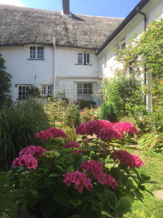Splatthayes Otel Honiton Dış mekan fotoğraf