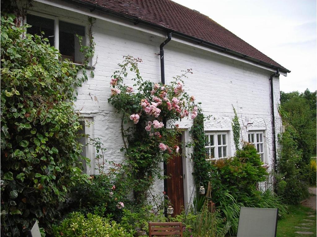 Splatthayes Otel Honiton Dış mekan fotoğraf