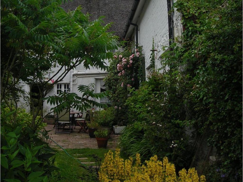 Splatthayes Otel Honiton Dış mekan fotoğraf